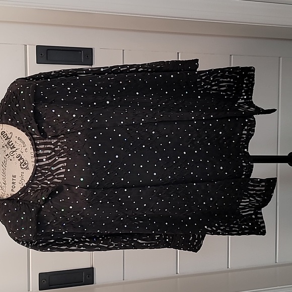 2 Piece Dressy Blouse & Shell Top - Picture 1 of 13